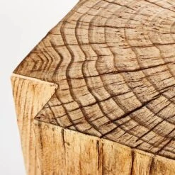 Indoor/Outdoor Faux Concrete Stump Accent Table Brown - Threshold™ Designed With Studio McGee -Threshold Designed W/Studio Mcgee GUEST 0507ce42 1b4d 418a 858c 11fe1ac459fe