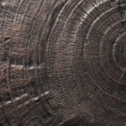 Grantsville Drum Accent Table Black - Threshold™ Designed With Studio McGee 10 Grantsville Drum Accent Table Black - Threshold™ Designed With Studio McGee -Threshold Designed W/Studio Mcgee GUEST 2a48e59f 9a1e 4d95 a641 6710dbd36ebe