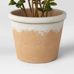 Artificial Medium Boxwood In Terracotta Pot Green - Threshold™ Designed With Studio McGee -Threshold Designed W/Studio Mcgee GUEST 3859bebc ef74 4067 b0a8 d2730a37750b