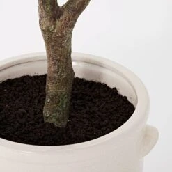 76.5"x 30" Artificial Olive Tree In Ceramic Pot - Threshold™ Designed With Studio McGee -Threshold Designed W/Studio Mcgee GUEST 5f1c0b63 d965 4bfb 9559 6084dae15f92