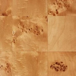 Ogden Burled Wood Coffee Table - Threshold™ Designed With Studio McGee -Threshold Designed W/Studio Mcgee GUEST b9591b2b d32e 461e a03f c8fbfc9f0434